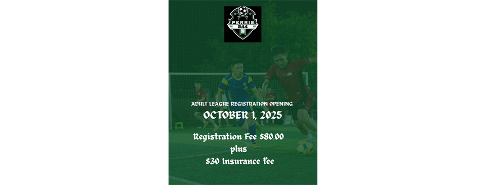 ADULT LEAGUE